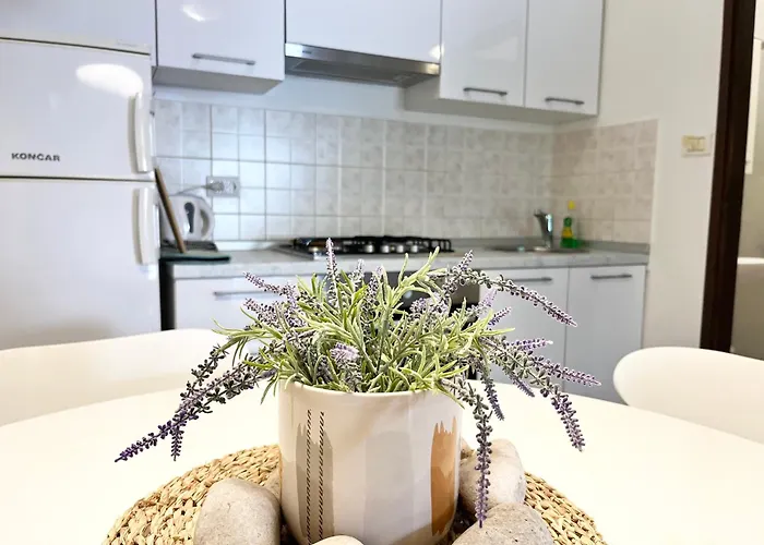 Apartamento Biba Pula