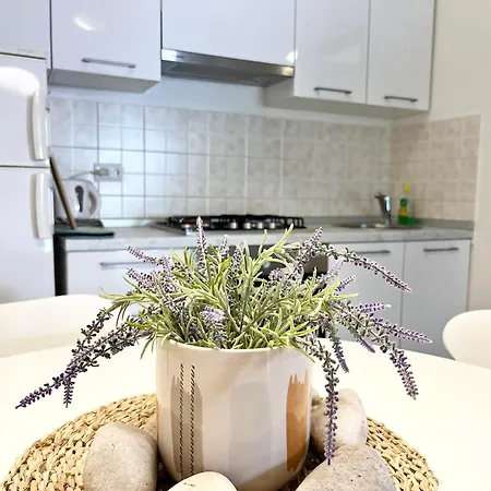 Apartment Biba Pula