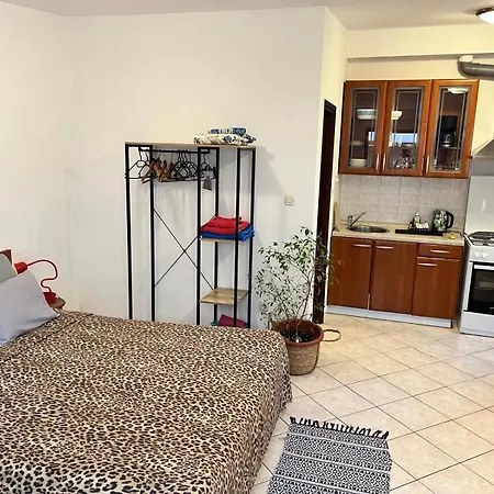 Biba Apartment Pula